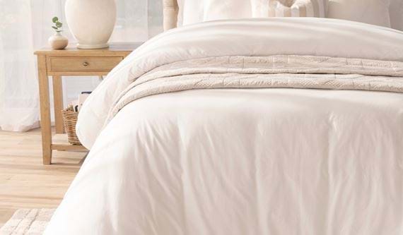 Brief 12 Social Jan Francey DCS FB 4 (1)